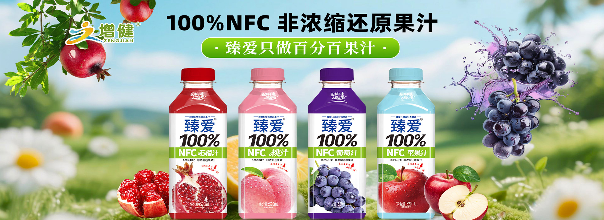 2003网站太阳集团