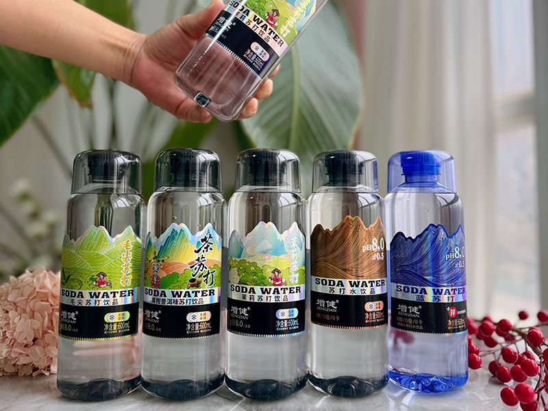 带盖苏汲水